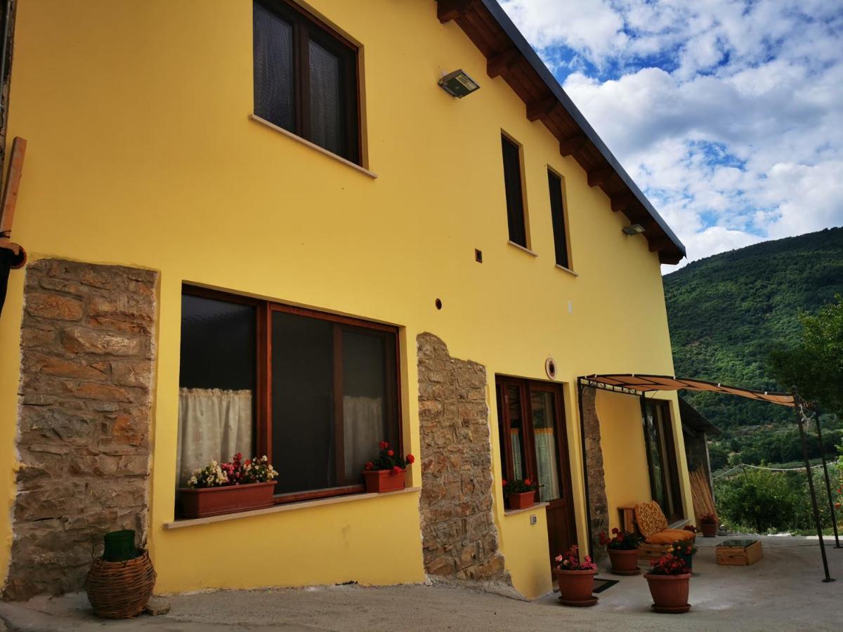 Agriturismo B&B Il Girasole Roccadaspide エクステリア 写真